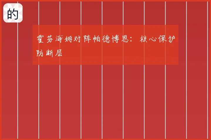 霍芬海姆对阵帕德博恩:核心保护防断层